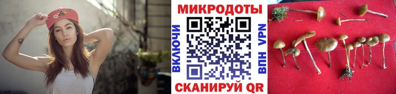 Псилоцибиновые грибы Psilocybine cubensis  Купить закладки  Глазов 